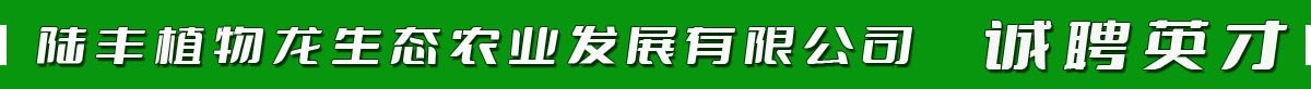 陆丰植物龙生态农业发展有限公司  | 汕尾人才网| 微借汕尾人才网