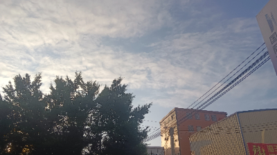 照女士简历 | 汕尾人才网